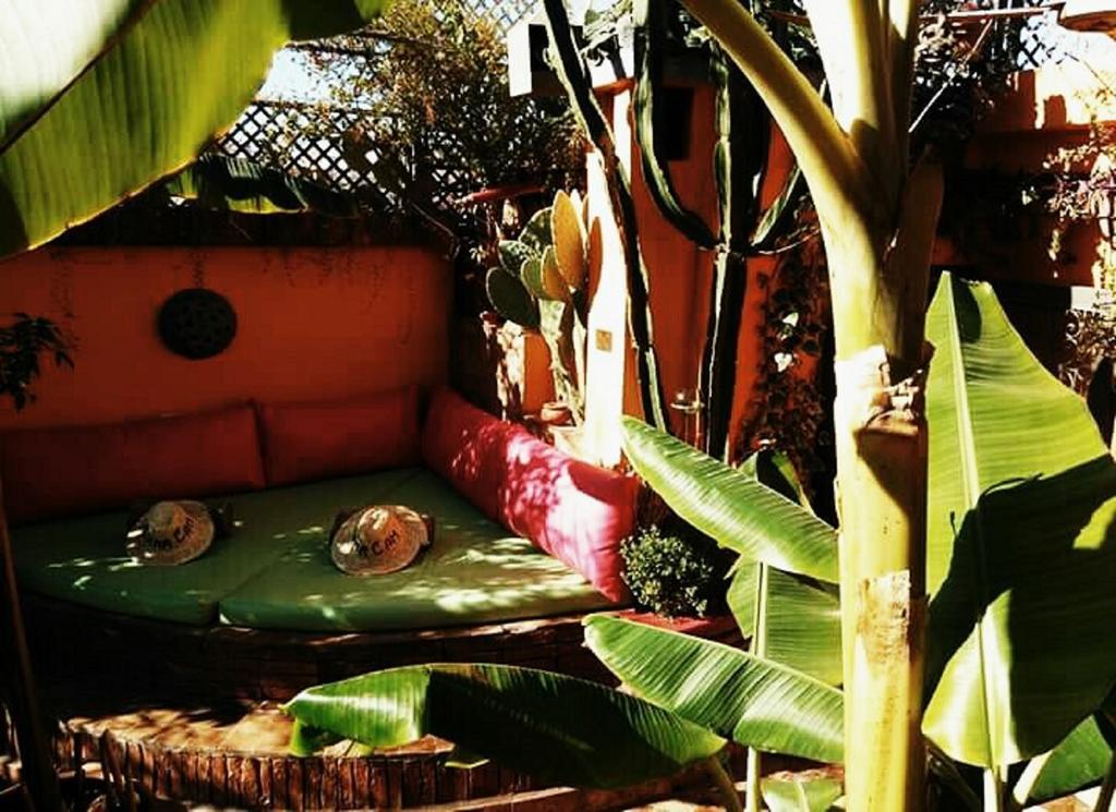 Riad Charcam Marrakesh Exterior foto