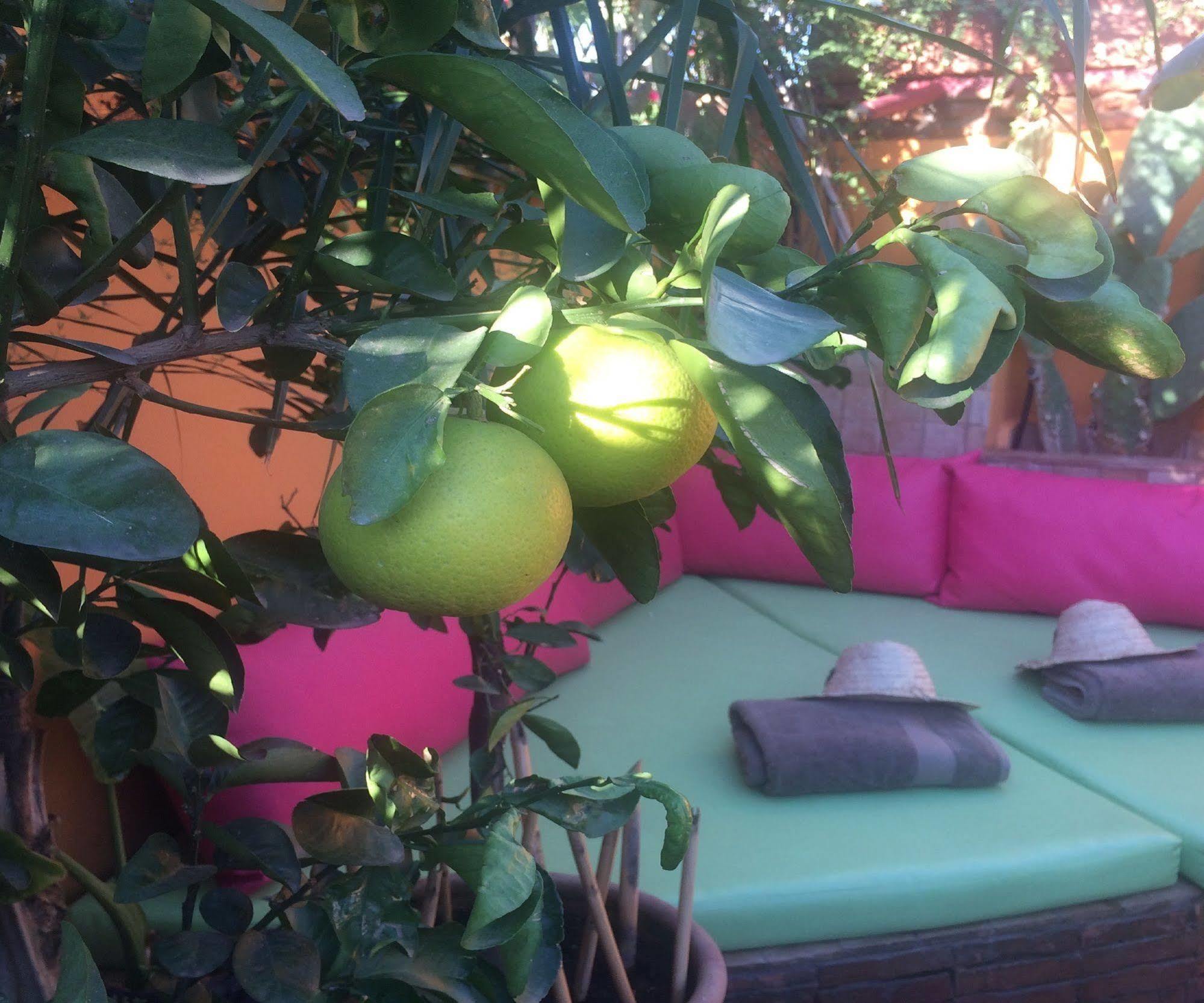 Riad Charcam Marrakesh Exterior foto